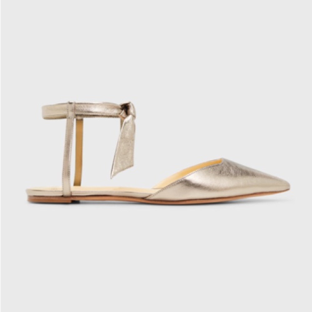 ALEXANDRE BIRMAN
Clarita Metallic Ankle-Tie Ballerina Flats